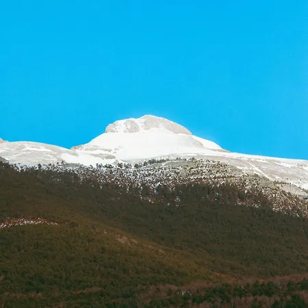 Alto Aragon 2*